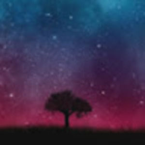 Meet your Posher, Liliana